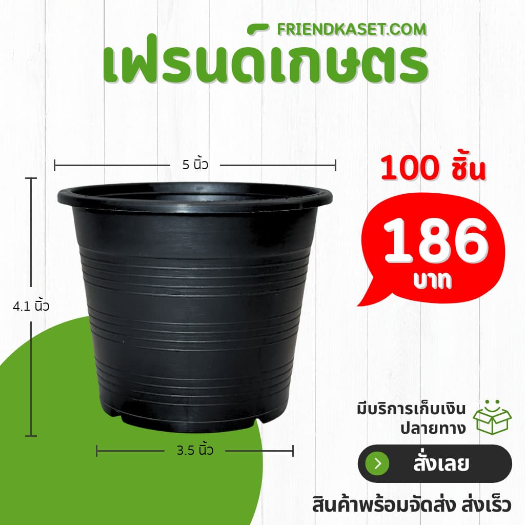 กระถาง กระถางต้นไม้ กระถางใส เบอร์ 6 นิ้ว รูปที่ 9