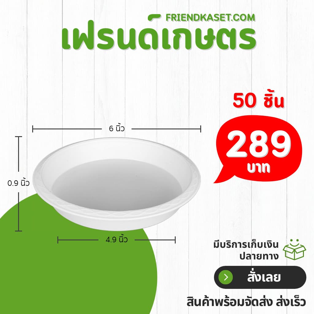 กระถาง กระถางต้นไม้ กระถางใส เบอร์ 6 นิ้ว รูปที่ 7