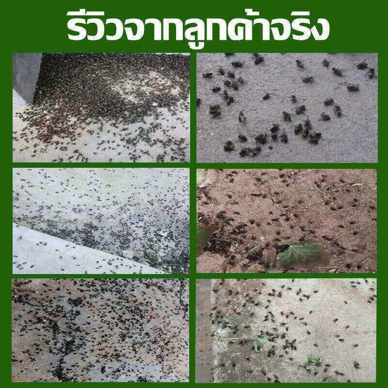 สเปรย์ไล่แมลงวัน ไล่แมลงวัน 2500มล ยาไล่แมลงวันฟาร์ม ยาฆ่าแมลงวัน ยาฆ่าแมลง สเปร ปลอดสารพิษ ไม่มีกลิ่น ยาไล่แมลงวันฟาร์ม รูปที่ 5