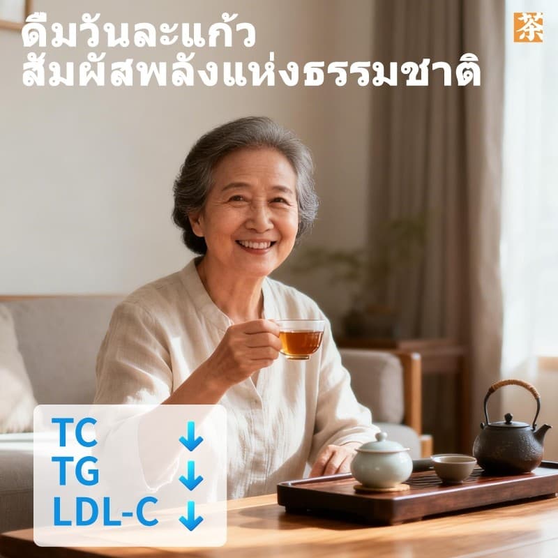 Expce ชาสมุนไพรเพื่อสุขภาพ 9 สมุนไพร ดื่มง่าย 12 ซอง เพื่อสุขภาพ รูปที่ 2