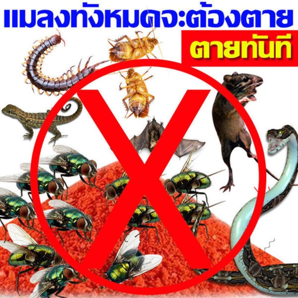 1 กล่อง ผงไข่เน่า เหยื่อกำจัดแมลงวัน ฆ่าแมลงวันขั้นเทพ ใช้ฆ่าแมลงวันบ้าน ตราไก่ รูปที่ 7