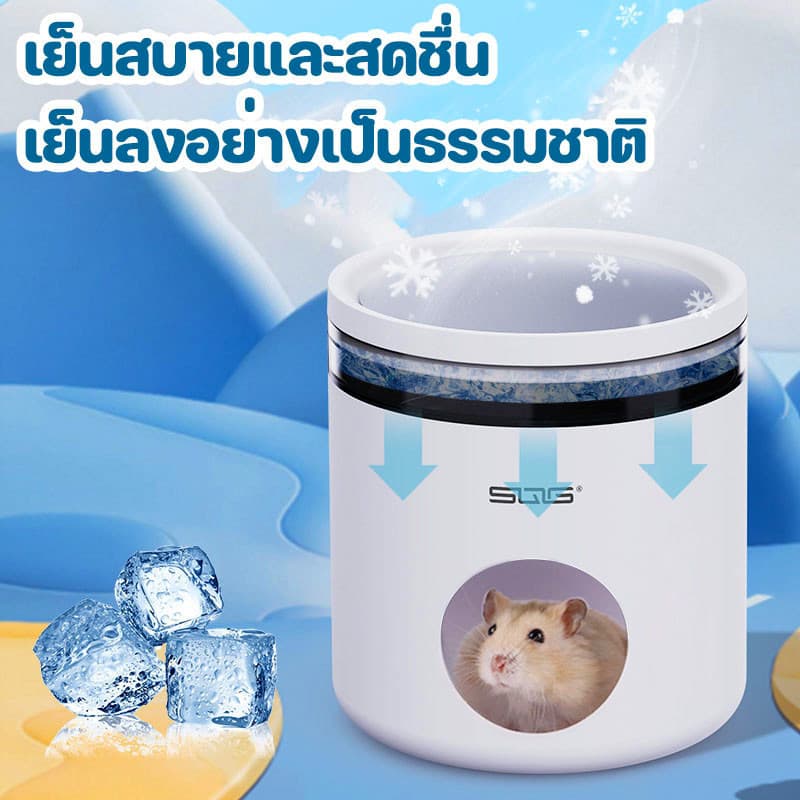 บ้านเย็นแฮมเตอร์ บ้าน หนู แฮมเตอร์ลดอุณหภูมิ บ้านหลบแฮมสเตอร์ ระบายอากาศ เย็นสบายยาวนาน พื้นที่ขนาดใหญ่ รูปที่ 5