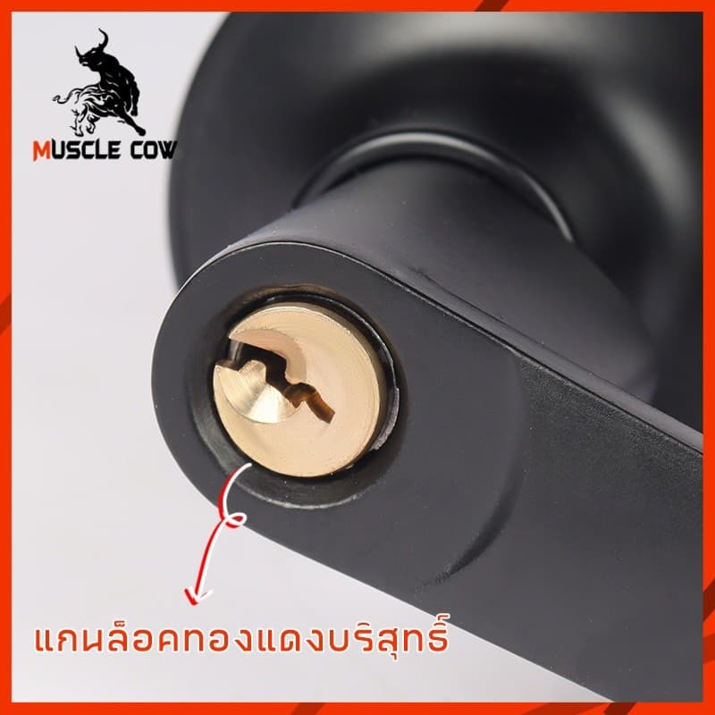COW KING ลูกบิดก้านโยก ไม่เป็นสนิม สำหรับประตูหนา 35-50 มม. ขอบล็อค 60-70 มม. มี 3 สี รูปที่ 5