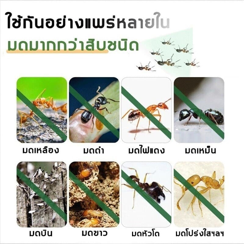 สเปรย์ไล่แมลงวัน ไล่แมลงวัน 2500มล ยาไล่แมลงวันฟาร์ม ยาฆ่าแมลงวัน ยาฆ่าแมลง สเปร ปลอดสารพิษ ไม่มีกลิ่น ยาไล่แมลงวันฟาร์ม รูปที่ 6
