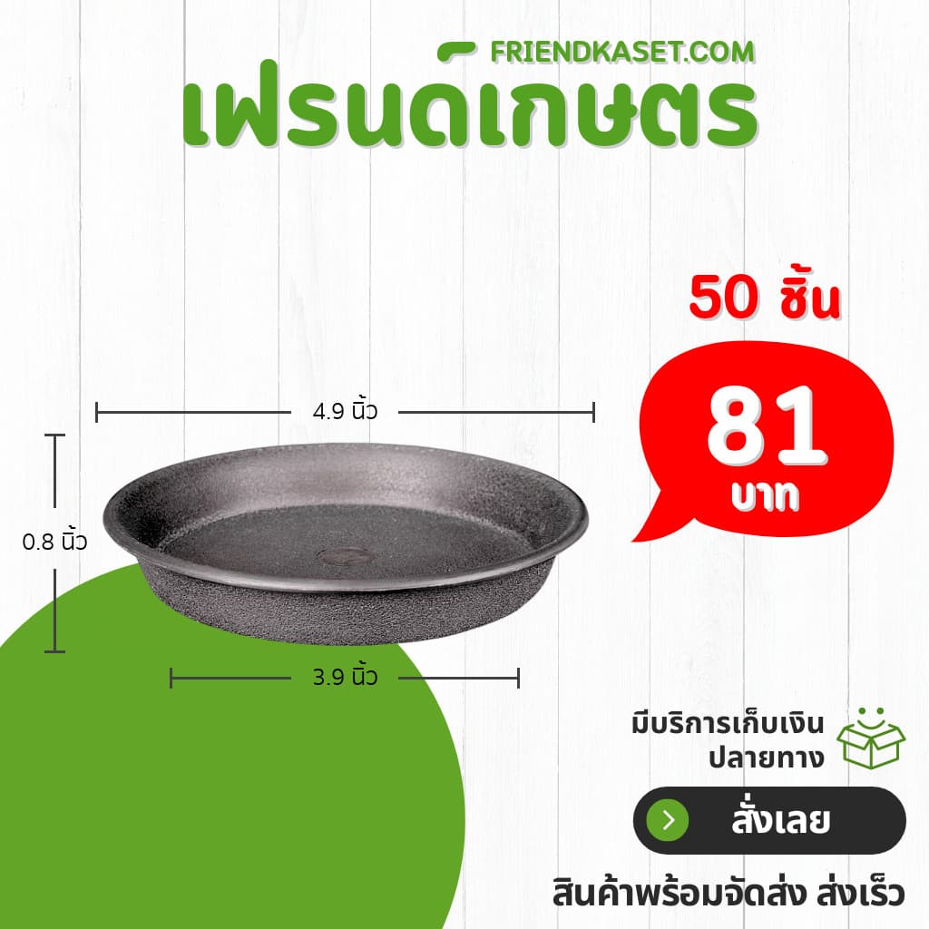 กระถาง กระถางต้นไม้ กระถางใส เบอร์ 6 นิ้ว รูปที่ 3