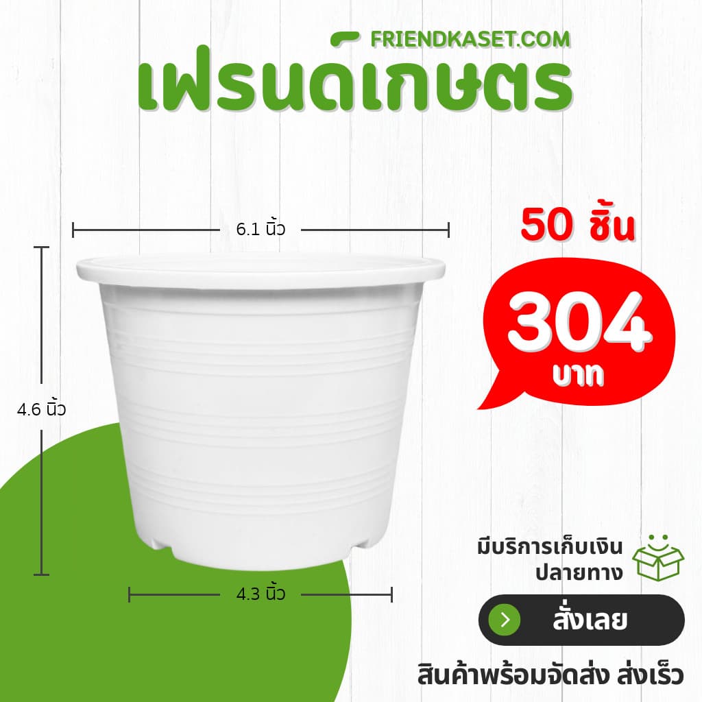กระถาง กระถางต้นไม้ กระถางใส เบอร์ 6 นิ้ว รูปที่ 5