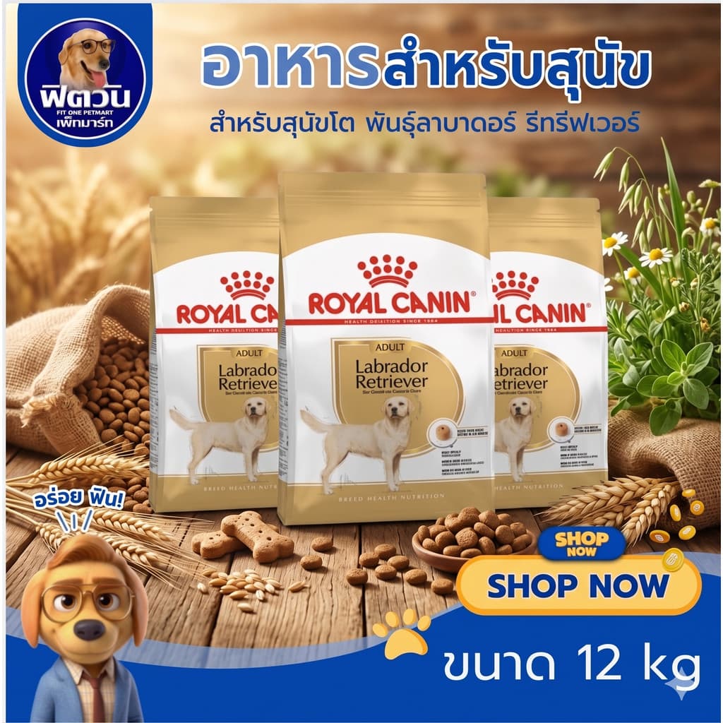ROYAL CANIN LABRADOR ADULT สุนัข1ปีขึ้นไป สูตรเฉพาะสายพันธ์ กระสอบ 12 กิโลกรัม{อาหารสุนัขเม็ด} รูปที่ 1