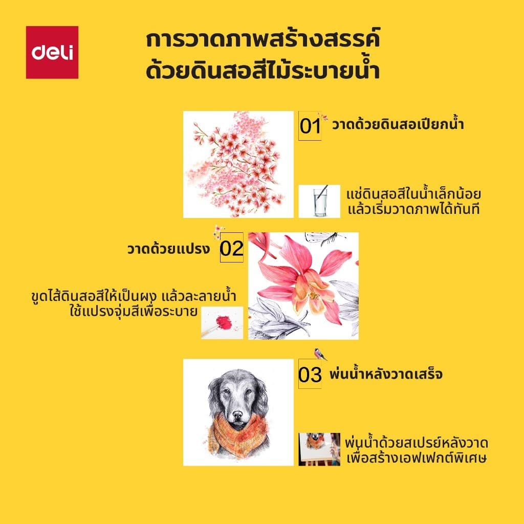 Deli ดินสอสีไม้ระบายน้ำ รุ่น EC00700 สีสด คมชัด ชุด 12/24/36 สี Color Pencils จำหน่าย 1 ชุด รูปที่ 7