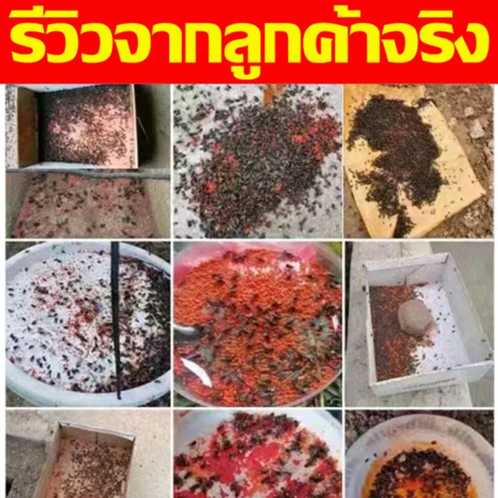 1 กล่อง ผงไข่เน่า เหยื่อกำจัดแมลงวัน ฆ่าแมลงวันขั้นเทพ ใช้ฆ่าแมลงวันบ้าน ตราไก่ รูปที่ 8