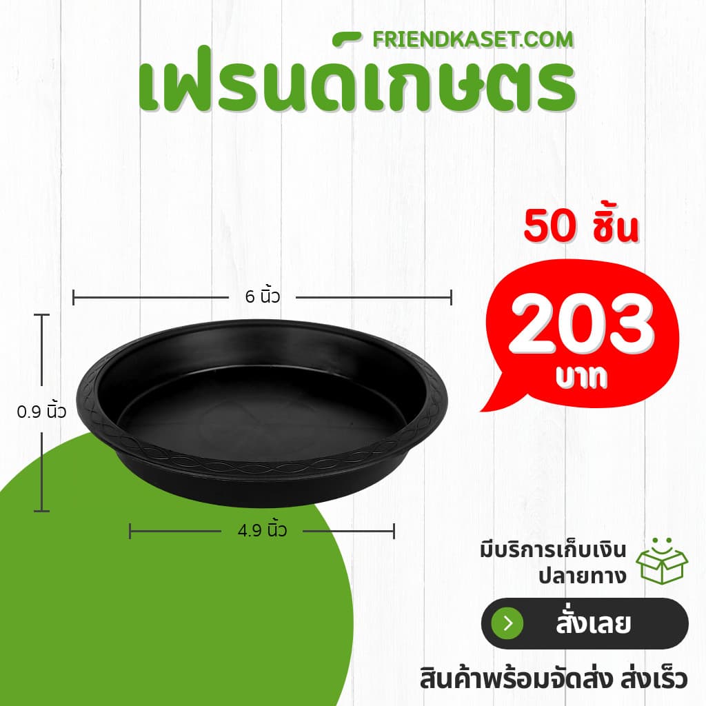 กระถาง กระถางต้นไม้ กระถางใส เบอร์ 6 นิ้ว รูปที่ 4