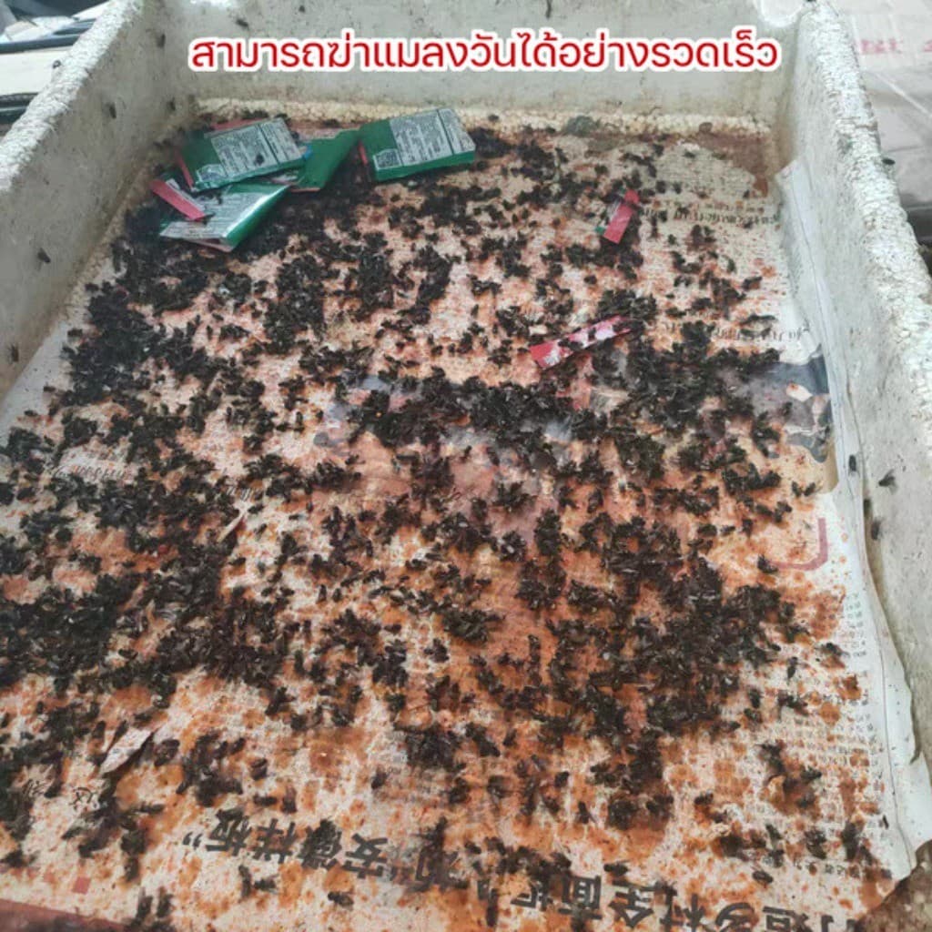 1 กล่อง ผงไข่เน่า เหยื่อกำจัดแมลงวัน ฆ่าแมลงวันขั้นเทพ ใช้ฆ่าแมลงวันบ้าน ตราไก่ รูปที่ 6