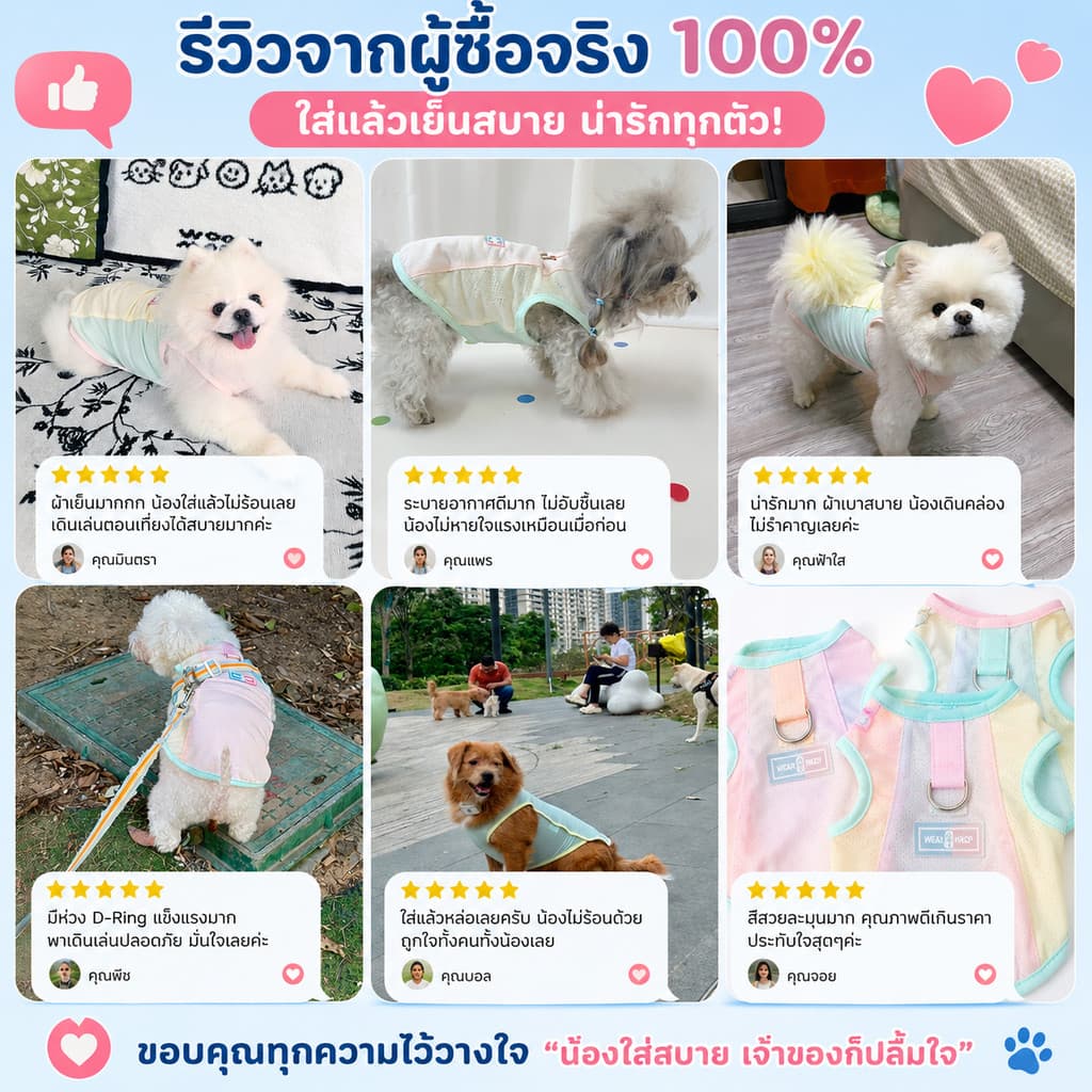 เสื้อกันแดดสุนัข เสื้อเย็นแมว UPF50+ เสื้อคลายร้อนสัตว์เลี้ยง หน้าร้อนต้องมี สายจูงในตัว ระบายอากาศดี รูปที่ 6