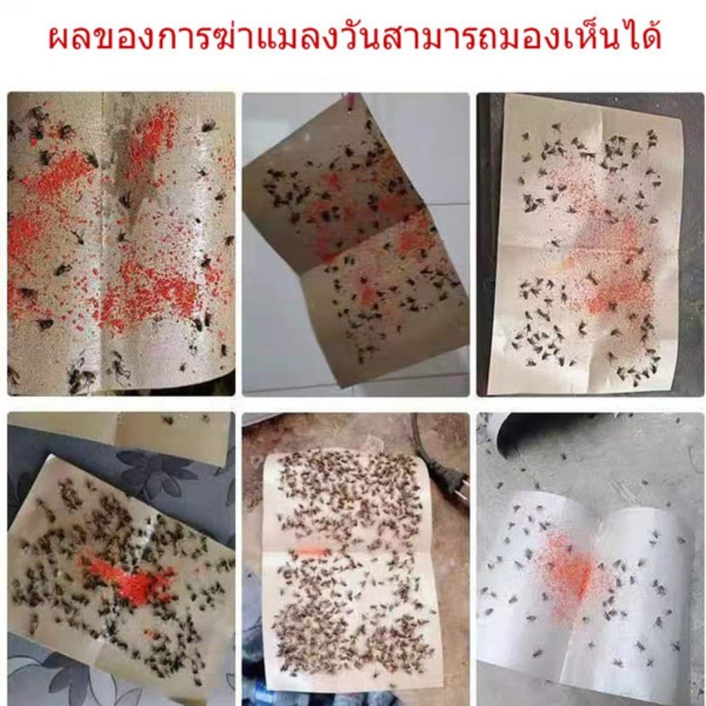 1 กล่อง ผงไข่เน่า เหยื่อกำจัดแมลงวัน ฆ่าแมลงวันขั้นเทพ ใช้ฆ่าแมลงวันบ้าน ตราไก่ รูปที่ 5