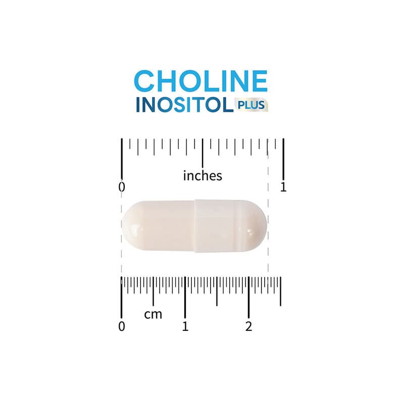 CEO Factory Choline Inositol Plus 40 Capsules ผลิตภัณฑ์เสริมอาหาร ซีอีโอ แฟคตอรี่ แมกนีเซียม กาบา คอมเพล็กซ์. รูปที่ 4