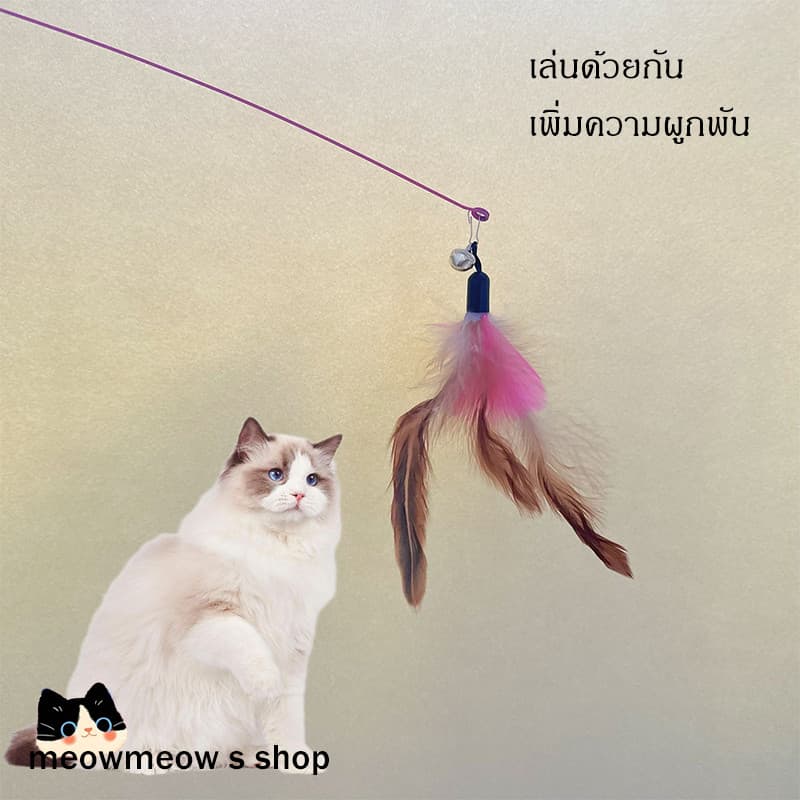 STOCK ไม้เล่นแมวแบบสปริงพร้อมขนนก ด้ามยาวปรับระดับได้ งอโค้งได้ 360 องศา น้องแมวเล่นเองได้ รูปที่ 6