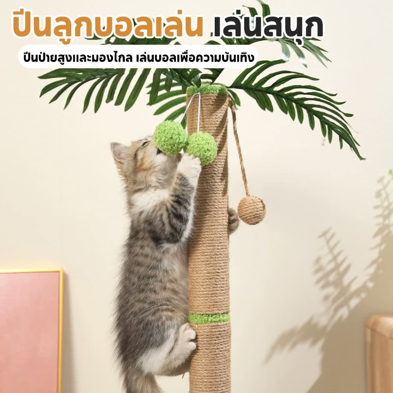 COD กรอบปีนแมว คอนโดแมวต้นไม้ ต้นไม้ใหญ่โครงปีนแมว ลับเล็บแมว ของเล่นแมว cat tree ซ่อนเร้น เซอร์ไพรส์ ทนต่อการสึกหรอ รูปที่ 3
