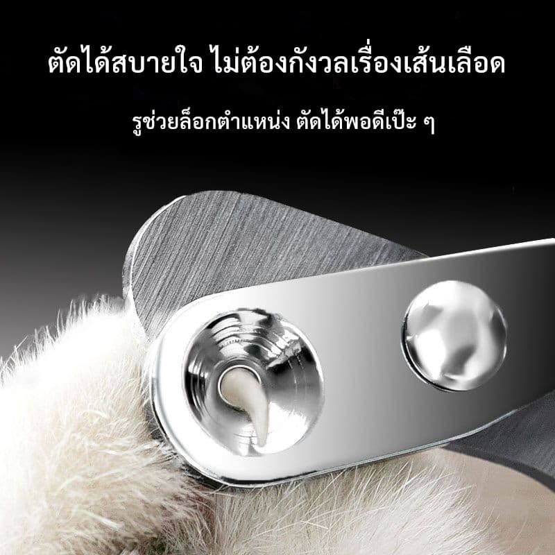 KTCAT กรรไกรตัดเล็บแมว หัวโค้งสแตนเลส ด้ามยางนุ่ม กันลื่น คมกริบ ไม่บิ่น ไม่เจ็บ ใช้ง่ายสำหรับสัตว์เลี้ยง รูปที่ 3