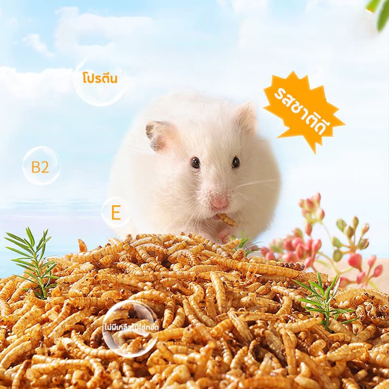 อาหารหนูแฮมสเตอร์ 1200ML อาหารสัตว์เลี้ยงฟันแทะทุกชนิด Hammer Food แฟตเทล อาหารผสม รูปที่ 7