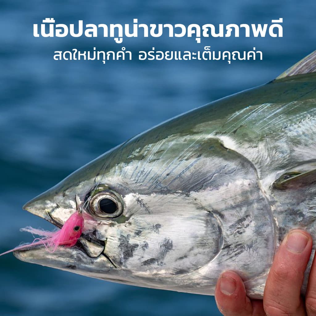 THSPET 70g Joint & Bone น้ำเกรวี่ปลาทูน่า อาหารเปียกสูตรบำรุงข้อ 1 กล่อง 8 ซอง รูปที่ 2
