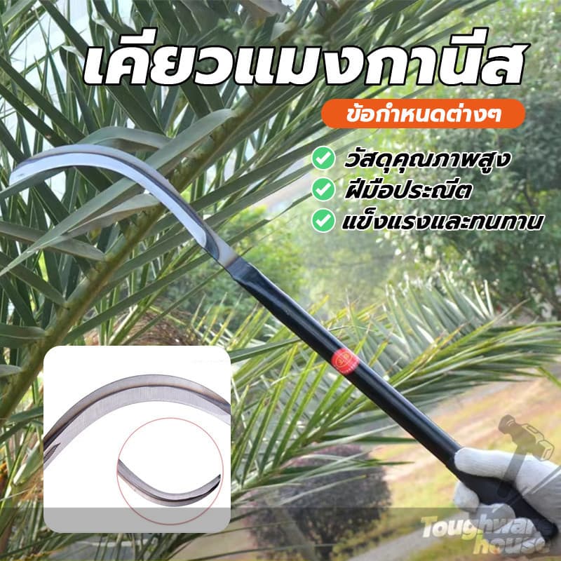 เคียวแมงกานีส เคียวตัดหญ้า เหล็กตัดหญ้า เคียวเกี่ยวข้าว ทำจากเหล็กแมงกานีส แข็งแกร่งและคมเป็นพิเศษ แข็งแรง รูปที่ 4