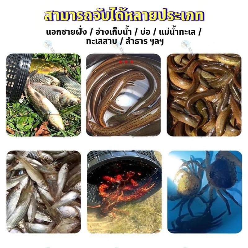 ตาข่ายดักปลา ที่ดักกุ้ง มุ้งดักปลา กระชังดักปลา ดักปลาไหล ใช้งานได้ดีในการจับปลาไหลและกุ้ง รูปที่ 3
