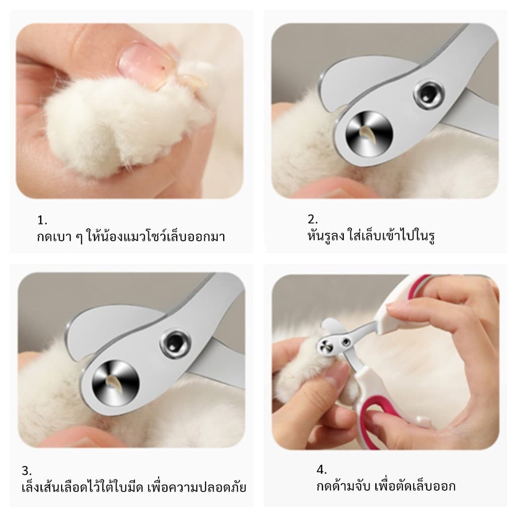 KTCAT กรรไกรตัดเล็บแมว หัวโค้งสแตนเลส ด้ามยางนุ่ม กันลื่น คมกริบ ไม่บิ่น ไม่เจ็บ ใช้ง่ายสำหรับสัตว์เลี้ยง รูปที่ 8