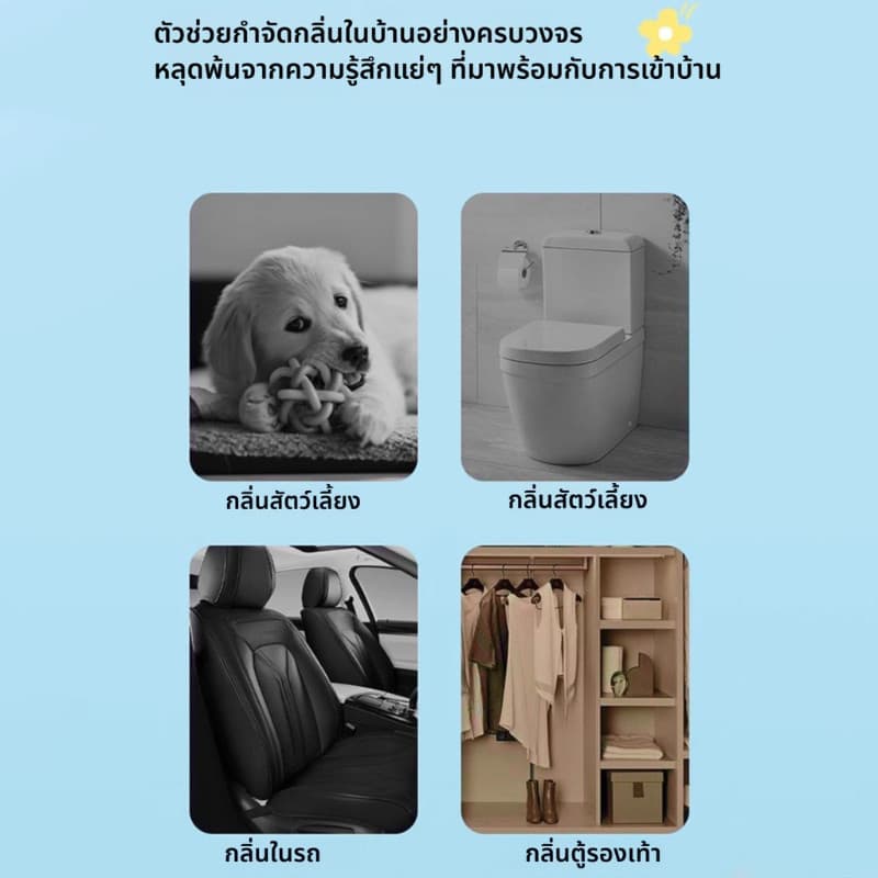 BHQ เมจิก บ็อกซ์ เพ็ทดีโอโดแรนท์ อากาศสดชื่น กำจัดกลิ่นฉี่แมว กำจัดกลิ่นที่ต้นตอ กำจัดกลิ่นสุนัข รูปที่ 7