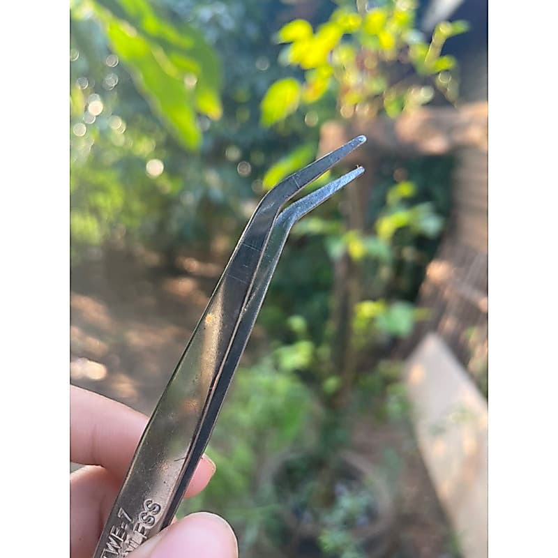 Forcep ฟอร์เซป ปากงอ ปากตรง คุณภาพดี จากสแตนเลส สำหรับคีบเมล็ดผักลงฟองน้ำ รูปที่ 1