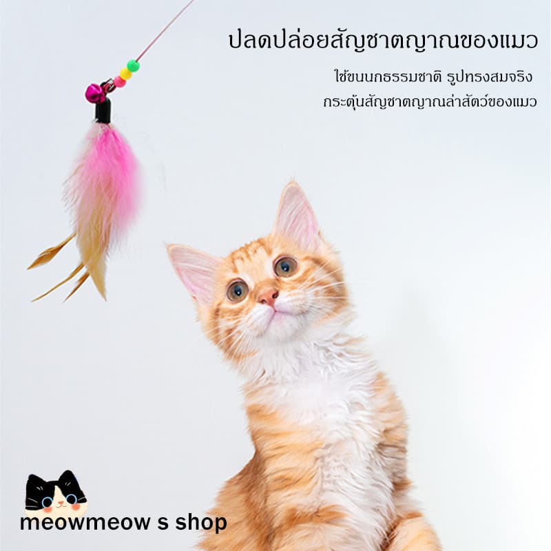 STOCK ไม้เล่นแมวแบบสปริงพร้อมขนนก ด้ามยาวปรับระดับได้ งอโค้งได้ 360 องศา น้องแมวเล่นเองได้ รูปที่ 3