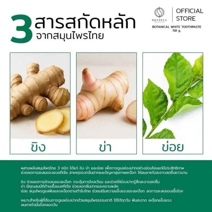 1 แถม 1 ยาสีฟันพรทิน่า Botanical White 50 กรัม ขาวกระจ่างใส พร้อมโปรโมชั่นพิเศษ รูปที่ 4