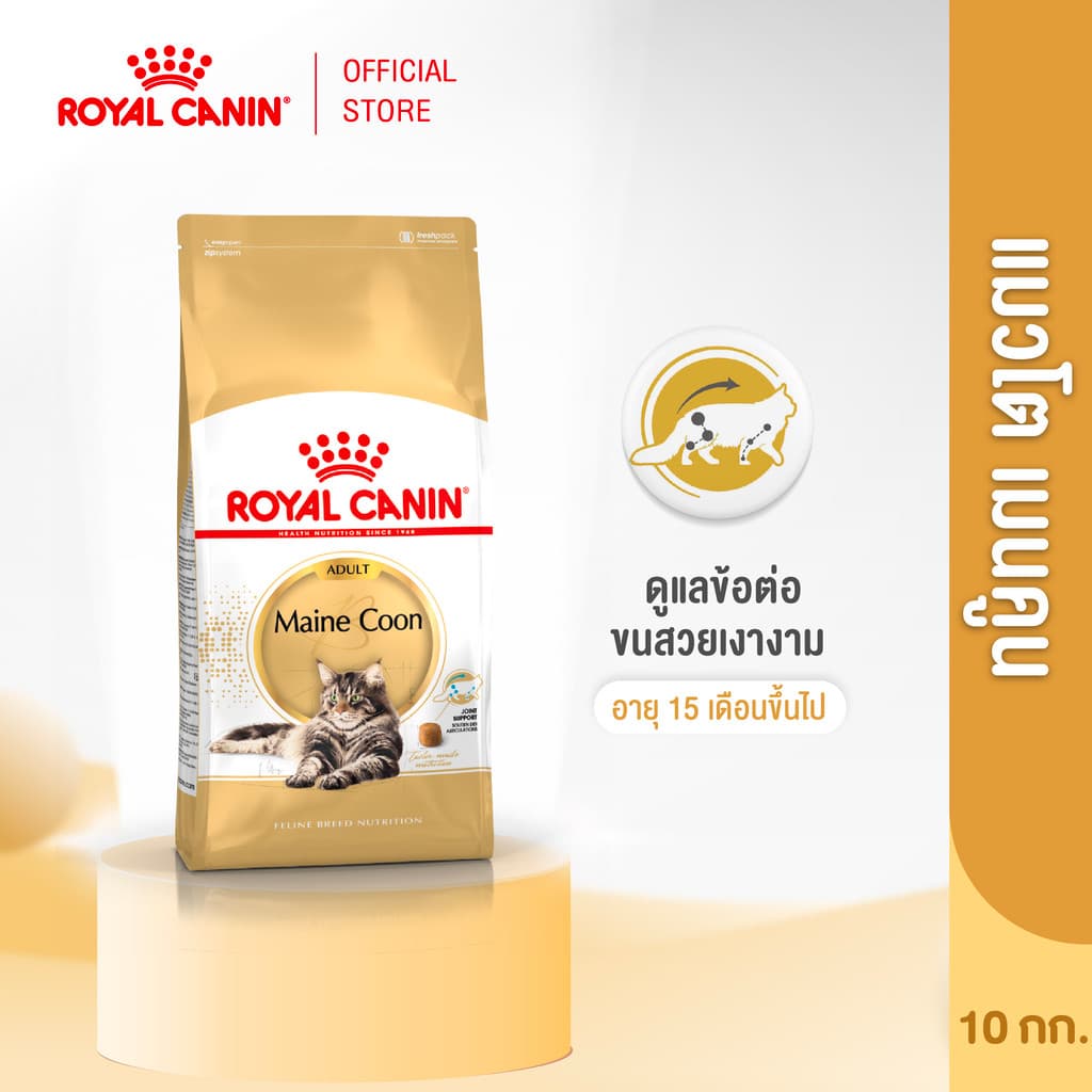 Royal Canin Mainecoon Adult 10kg อาหารเม็ดแมวโต พันธุ์เมนคูน อายุ 15 เดือนขึ้นไป รูปที่ 2