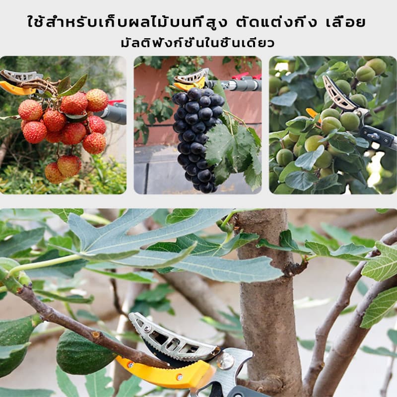 3in1 เลื่อยได้ กรรไกรตัดกิ่งไม้สูง ยืดหกถึง1/1.5/2M ด้ามจับยาว กรรไกรเก็บผลไม้ กรรไกรเก็บผลไม้ ตัดกิ่งไม้หนา 3 ซม รูปที่ 9