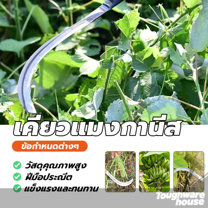 เคียวแมงกานีส เคียวตัดหญ้า เหล็กตัดหญ้า เคียวเกี่ยวข้าว ทำจากเหล็กแมงกานีส แข็งแกร่งและคมเป็นพิเศษ แข็งแรง รูปที่ 2