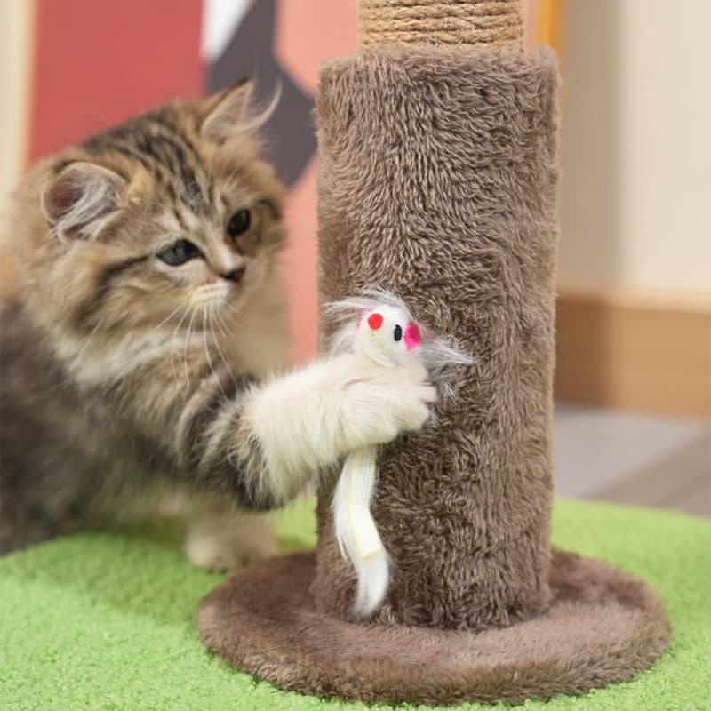 COD กรอบปีนแมว คอนโดแมวต้นไม้ ต้นไม้ใหญ่โครงปีนแมว ลับเล็บแมว ของเล่นแมว cat tree ซ่อนเร้น เซอร์ไพรส์ ทนต่อการสึกหรอ รูปที่ 6