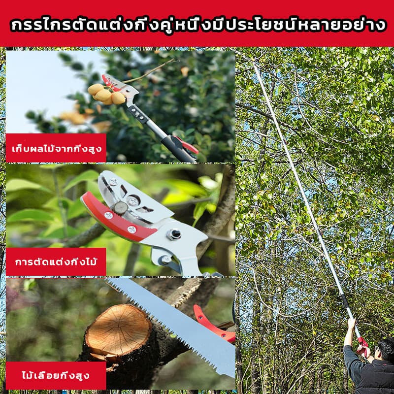 3in1 เลื่อยได้ กรรไกรตัดกิ่งไม้สูง ยืดหกถึง1/1.5/2M ด้ามจับยาว กรรไกรเก็บผลไม้ กรรไกรเก็บผลไม้ ตัดกิ่งไม้หนา 3 ซม รูปที่ 8