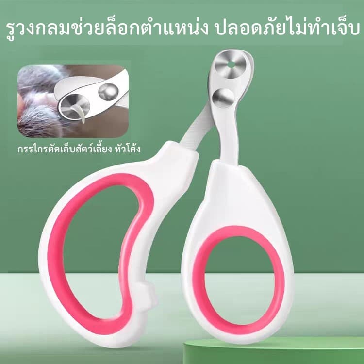 KTCAT กรรไกรตัดเล็บแมว หัวโค้งสแตนเลส ด้ามยางนุ่ม กันลื่น คมกริบ ไม่บิ่น ไม่เจ็บ ใช้ง่ายสำหรับสัตว์เลี้ยง รูปที่ 5
