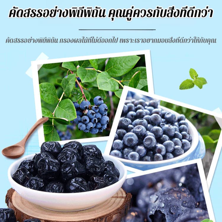ผู้ขายในพื้นที่บลูเบอร์รี่อบแห้งเกรดพรีเมียมไม่มีน้ำตาล อุดมไปด้วยแอนโทไซยานิน พร้อมทาน 100กรัม/ถุง อาหารอร่อย อุดมไปด้วยแอนโทไซยานิน บลูเบอร์รี่แห้ง บลูเบอร์รี่ รูปที่ 4
