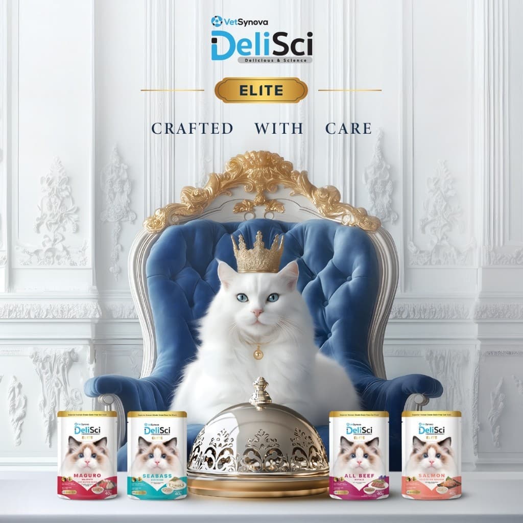 DeliSci Elite อาหารเปียกแมว ท็อปปิ้งโรยอาหาร สูตรวัตถุดิบพรีเมียม ขนาด 40 กรัม รูปที่ 6