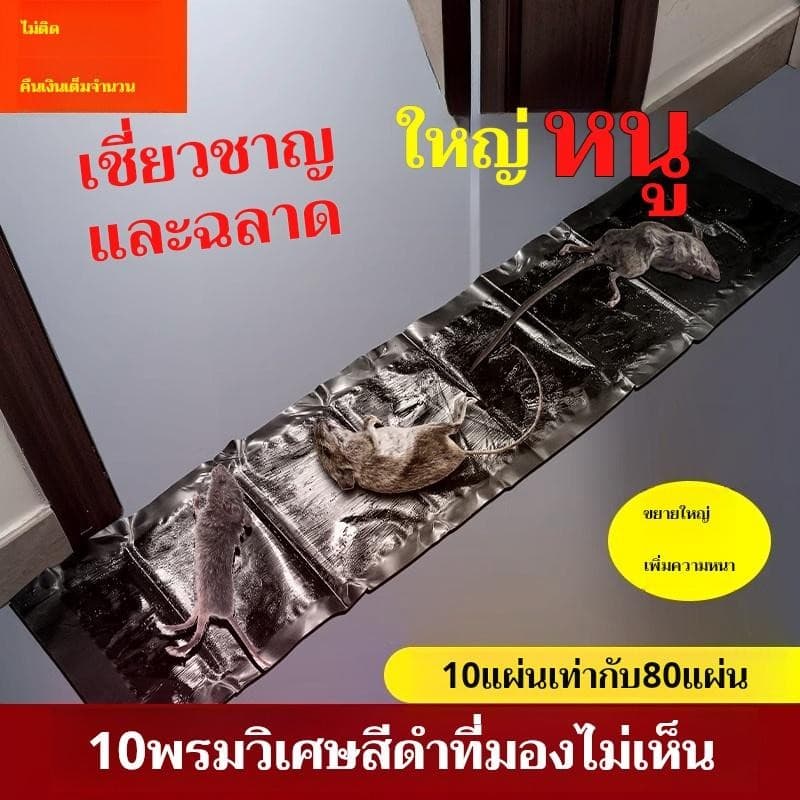 กับดักเมาส์เหนียว, สำหรับจับหนูขนาดใหญ่, พรมวิเศษที่แข็งแรงพิเศษ, ในการกำจัดและจับหนู, การควบคุมศัตรูพืชในครัวเรือน รูปที่ 2