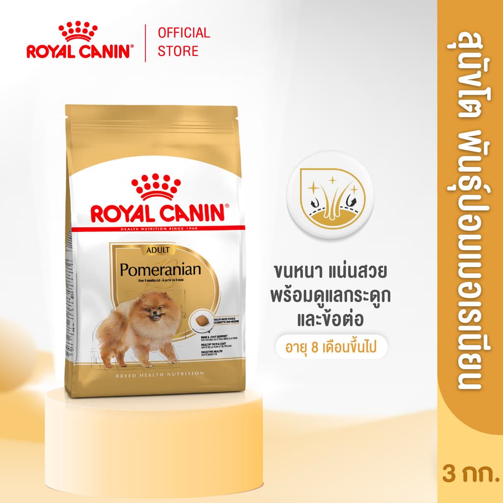 Royal Canin Pomeranian Adult 3kg อาหารเม็ดสุนัขโต พันธุ์ปอมเมอเรเนียน อายุ 8 เดือนขึ้นไป รูปที่ 2