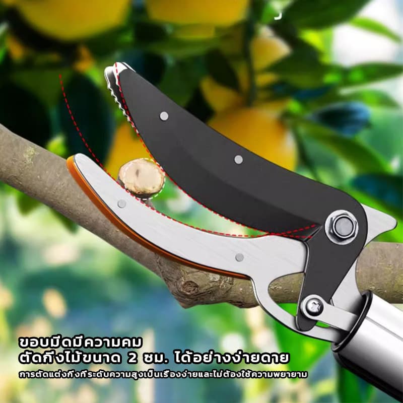 3in1 เลื่อยได้ กรรไกรตัดกิ่งไม้สูง ยืดหกถึง1/1.5/2M ด้ามจับยาว กรรไกรเก็บผลไม้ กรรไกรเก็บผลไม้ ตัดกิ่งไม้หนา 3 ซม รูปที่ 5