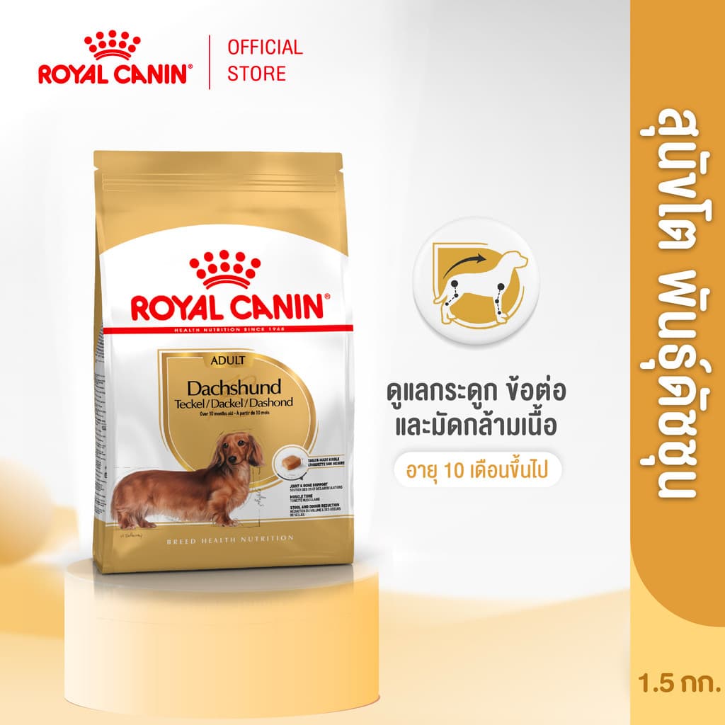 Royal Canin Dachshund Adult 1.5kg อาหารเม็ดสุนัขโต พันธุ์ดัชชุน อายุ 10 เดือนขึ้นไป รูปที่ 2