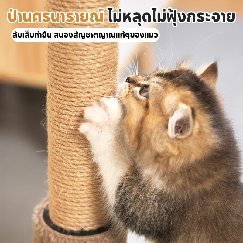 COD กรอบปีนแมว คอนโดแมวต้นไม้ ต้นไม้ใหญ่โครงปีนแมว ลับเล็บแมว ของเล่นแมว cat tree ซ่อนเร้น เซอร์ไพรส์ ทนต่อการสึกหรอ รูปที่ 4
