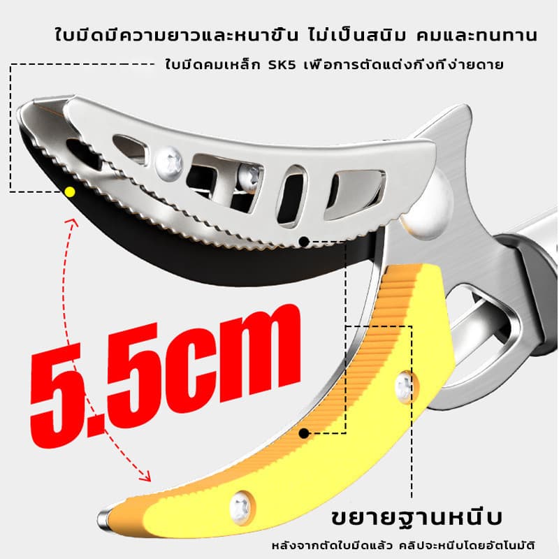 3in1 เลื่อยได้ กรรไกรตัดกิ่งไม้สูง ยืดหกถึง1/1.5/2M ด้ามจับยาว กรรไกรเก็บผลไม้ กรรไกรเก็บผลไม้ ตัดกิ่งไม้หนา 3 ซม รูปที่ 6
