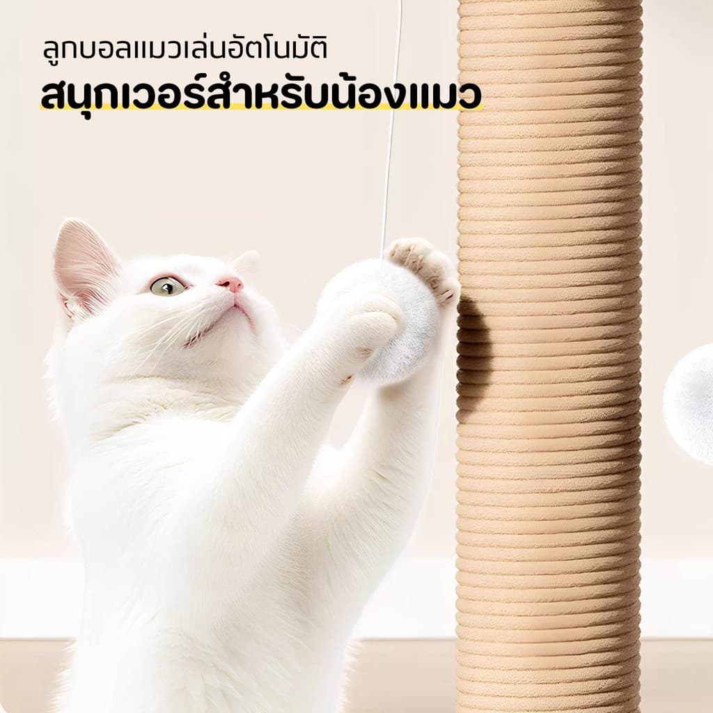 เสาลับเล็บแมว แผ่นลับเล็บ คอนโดแมว ของเล่นแมว กันลื่น วัสดุไม้แท้ แข็งแรง ทนทาน รูปที่ 7