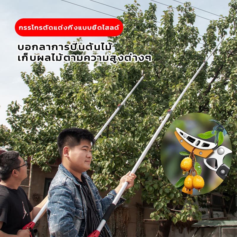 3in1 เลื่อยได้ กรรไกรตัดกิ่งไม้สูง ยืดหกถึง1/1.5/2M ด้ามจับยาว กรรไกรเก็บผลไม้ กรรไกรเก็บผลไม้ ตัดกิ่งไม้หนา 3 ซม รูปที่ 2