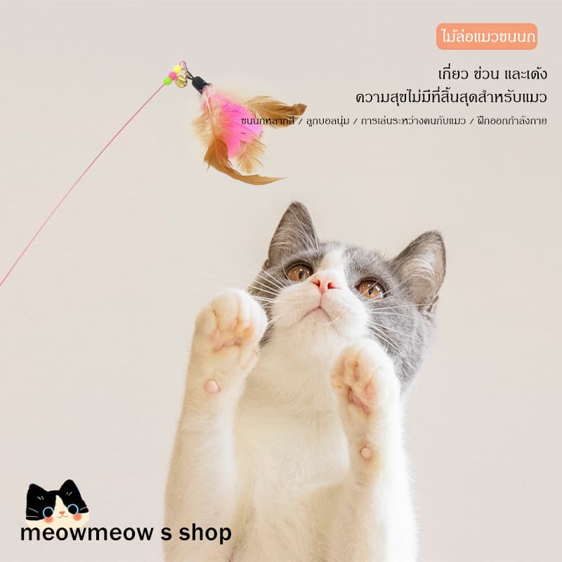 STOCK ไม้เล่นแมวแบบสปริงพร้อมขนนก ด้ามยาวปรับระดับได้ งอโค้งได้ 360 องศา น้องแมวเล่นเองได้ รูปที่ 1