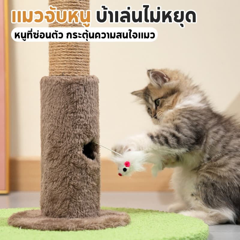 COD กรอบปีนแมว คอนโดแมวต้นไม้ ต้นไม้ใหญ่โครงปีนแมว ลับเล็บแมว ของเล่นแมว cat tree ซ่อนเร้น เซอร์ไพรส์ ทนต่อการสึกหรอ รูปที่ 2
