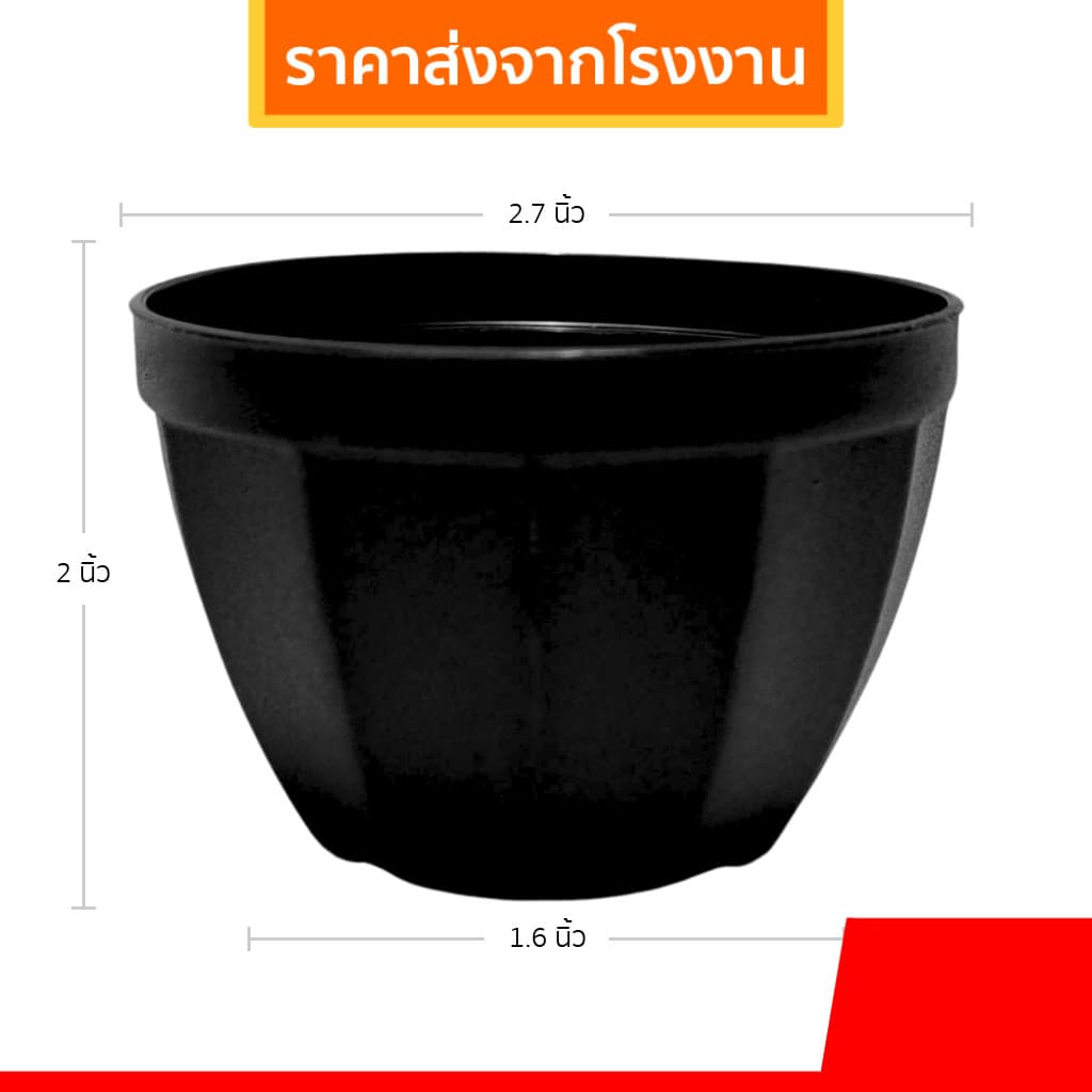 กระถางแคคตัส กระถางกลมเล็ก 1 2 3 นิ้ว ขายปลีก รูปที่ 1