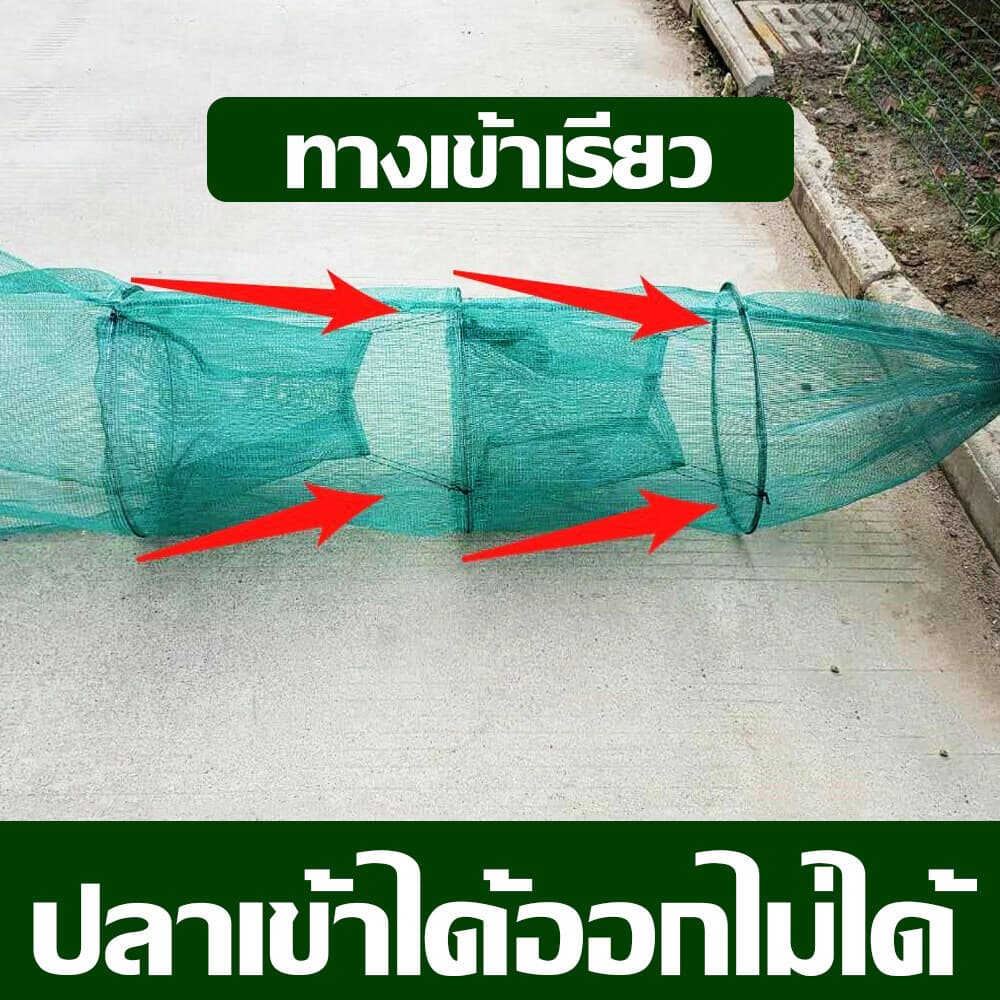 Towater ดักปลา ที่จับปลา ตุ้มดักกุ้งฝอย 8 ที่ดักปลา ดักกุ้ง ปลาเข้าง่าย โต่ง พับเก็บง่าย งานดี สะดวก ใช้งานง่าย รูปที่ 3